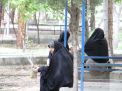 گزارش تصویری اردوی فرهنگی حامیم دختران 